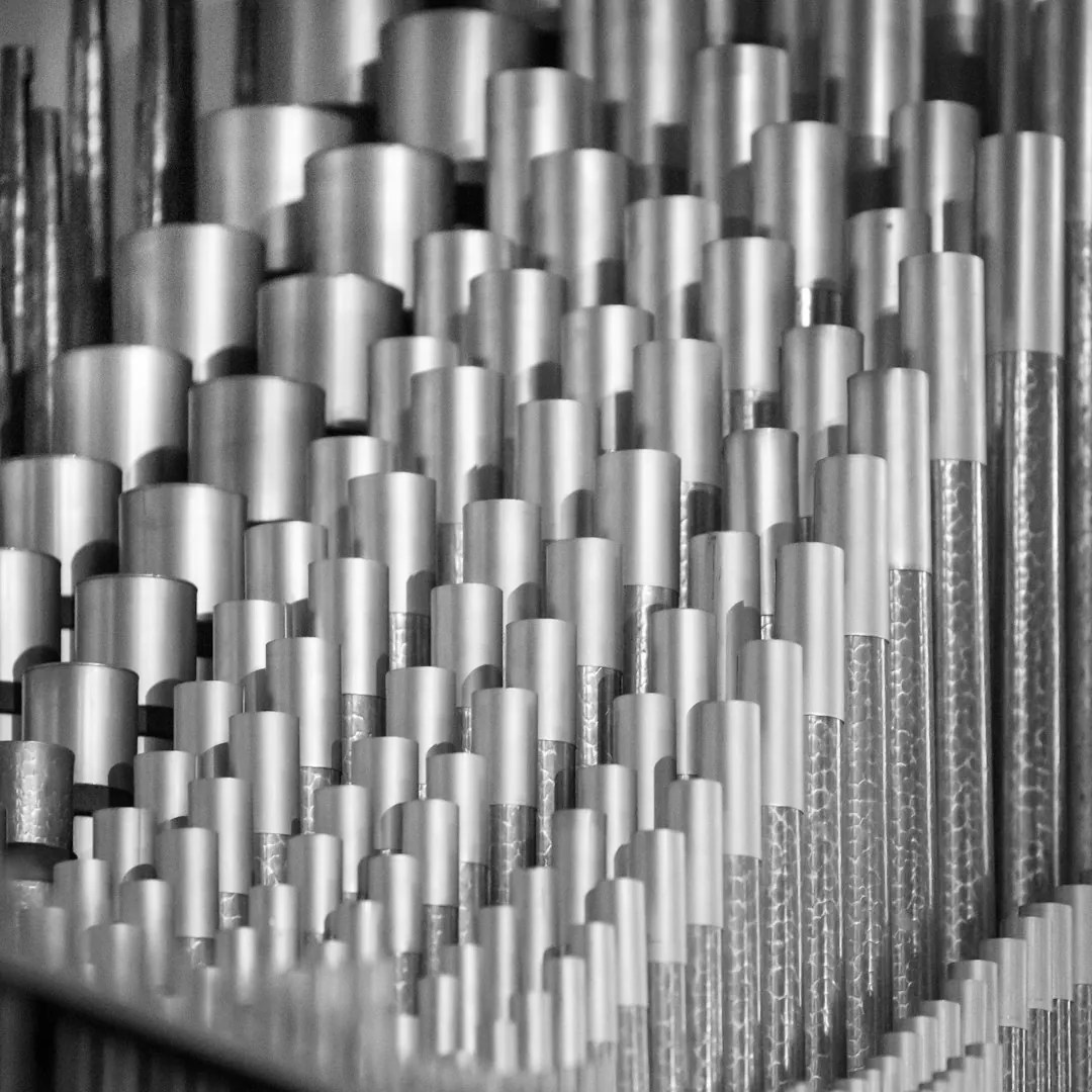 Photo by Rafik Wahba on Unsplash